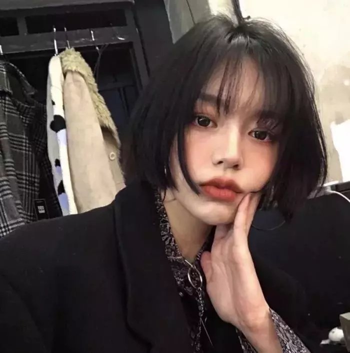 动物之爱